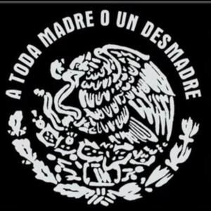 Meet your Posher, Felipe